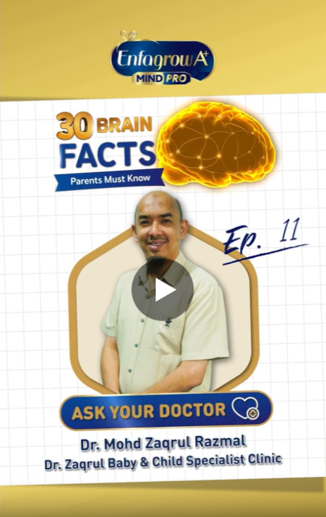 Brain video
