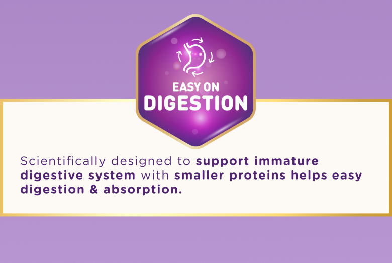 Slideshow mobile image